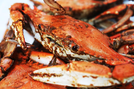 Vendor Spot – Seafood Boil Day Party 🦀🔥